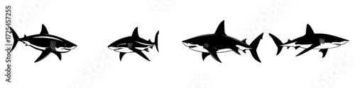 A bold, graphic silhouette of a shark in black showcases the power and presence of this magnificent creature through sharp lines and detailed fins, creating a striking visual