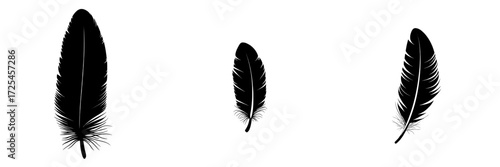 A minimalist black silhouette of a single feather, isolated on a clear background, exudes an elegant and timeless beauty, epitomized in 'Black Feather Silhouette