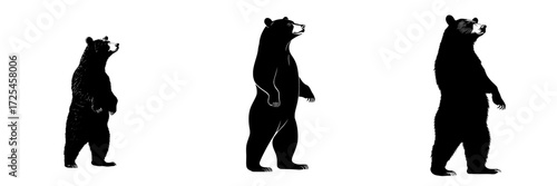 Majestic Bear Silhouette embodies the essence of nature, symbolizing power and strength as a dark icon in the woods, and a wild art logo