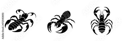 A bold, black silhouette of a scorpion with its distinctive curled tail and pincers, capturing the creature's fierce and enigmatic nature, is embodied in Scorpion Silhouette