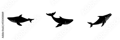 The Whale Silhouette features a simplified outline of a whale, emphasizing its refined contours and characteristic tail fin, perfectly suited for instilling a sense of calmness and fascination