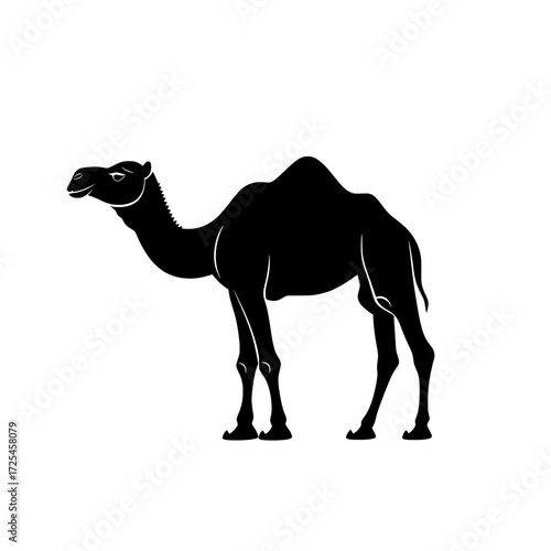 A dromedary camel stands majestically against a clean background, showcasing a strong and elegant silhouette, ideal for logos, icons, or design elements