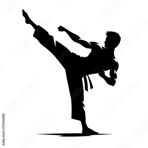 Martial artist in kicking pose silhouette vector on transparent background