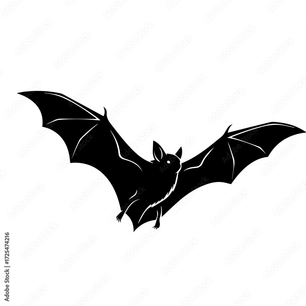 Fototapeta premium Bat Silhouette
