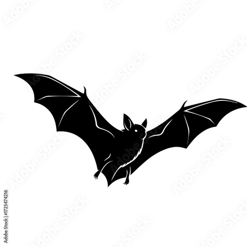 Bat Silhouette