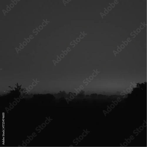 A cinematic depiction of Kruger National Park during midnight in summer, under foggy conditions, capturing unique natural textures and atmospheric mood.