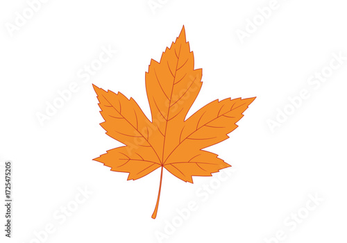 Autumn maple leaf illustration with a textured appearance.