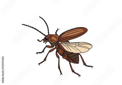 A brown winged insect with six legs and antennae.