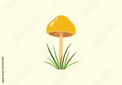 A solitary golden mushroom grows amidst lush green grass.