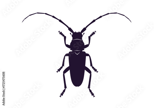 Illustration of a longhorn beetle with long antennae.