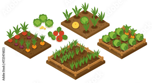 Isometric garden plots with vegetables and herbs on soil patches