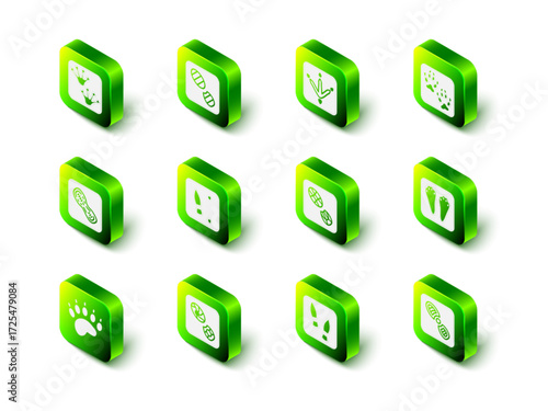 Set Human footprints shoes, Chicken paw, Fox, Rabbit and hare, and icon. Vector