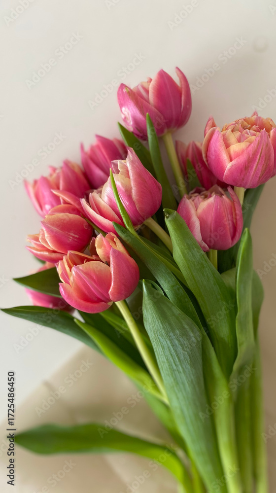 Fototapeta premium bunch of pink tulips bouquet