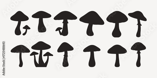 mushrooms isolated on white