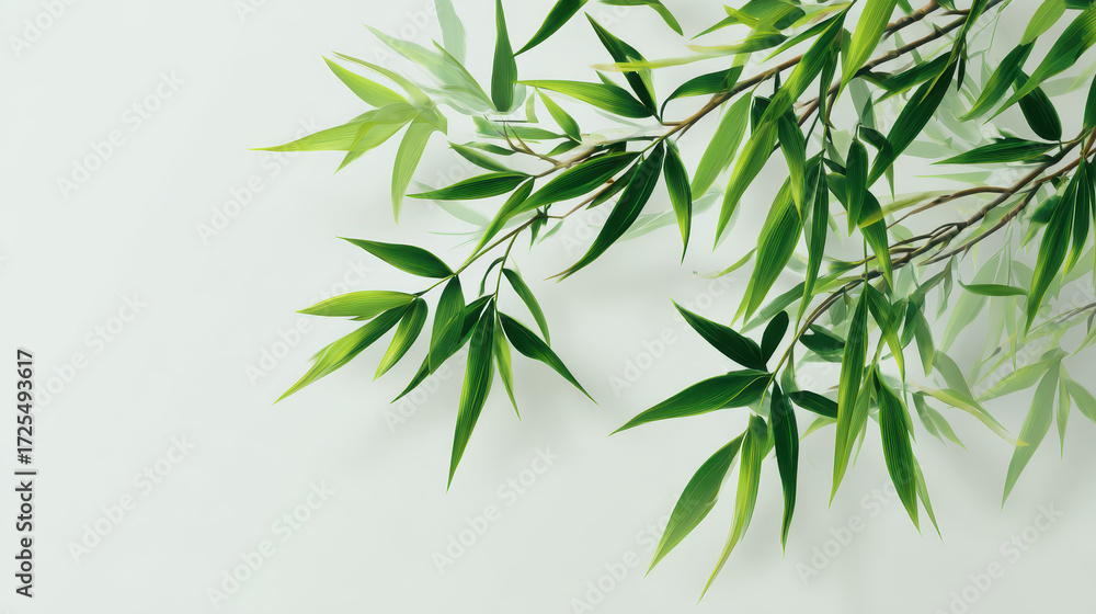 Naklejka premium Tranquil Bamboo Fronds: Delicate bamboo fronds gracefully cascade against a clean, simple backdrop, symbolizing serenity and natural elegance. 