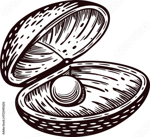 Hand drawn oyster shell with single pearl inside vintage engraved black and white illustration