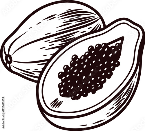 Hand drawn papaya fruit illustration, whole and halved with seeds, black line vintage engraved on white background