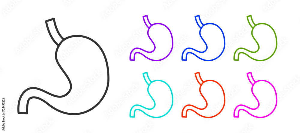 Obraz premium Black line Human stomach icon isolated on white background. Set icons colorful. Vector