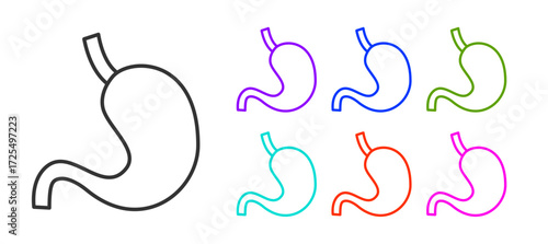Black line Human stomach icon isolated on white background. Set icons colorful. Vector