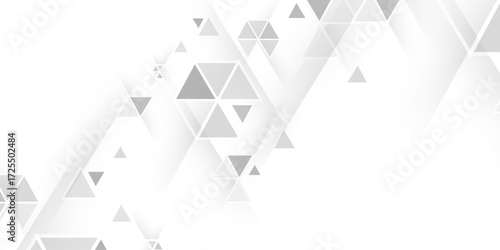 Abstract elegant triangle. White silver grey geometric universal background. modern design background with geometric shape. abstract graphic design banner pattern background template. Vector .	