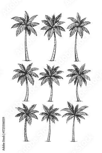 Row of palm trees standing tall, representing tropical beaches, summer vibes, and exotic island atmosphere.