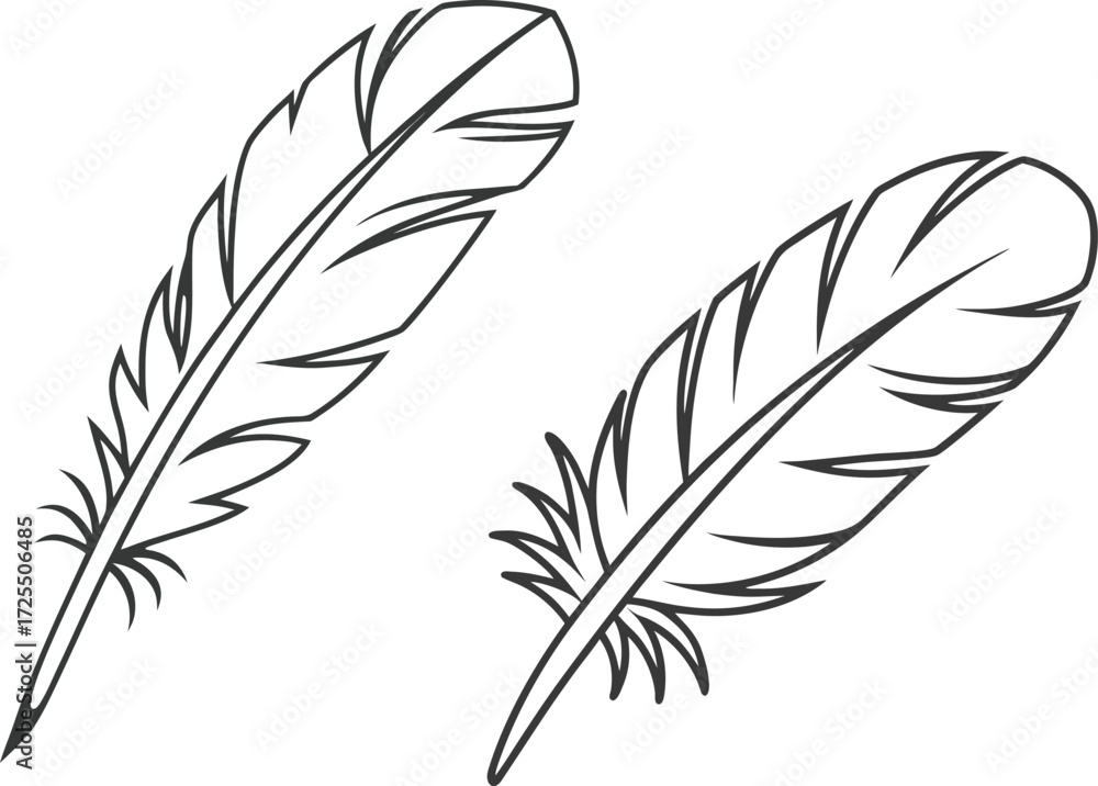 Obraz premium Feather editable stroke outline icon