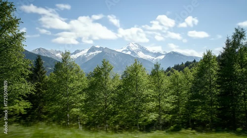 Scenic view of snow-capped mountains towering over a vibrant green forest under a blue sky