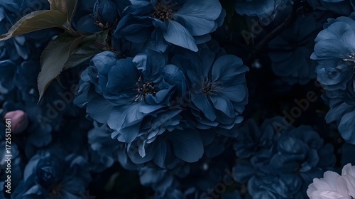 Stunning Closeup of Deep Blue Flowers Botanical Photography
