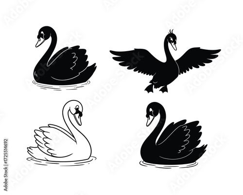 Artistic hand drawn illustrations of black and white swans in various poses on water surface