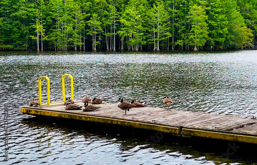 Mazarick Park in Fayetteville, NC, USA