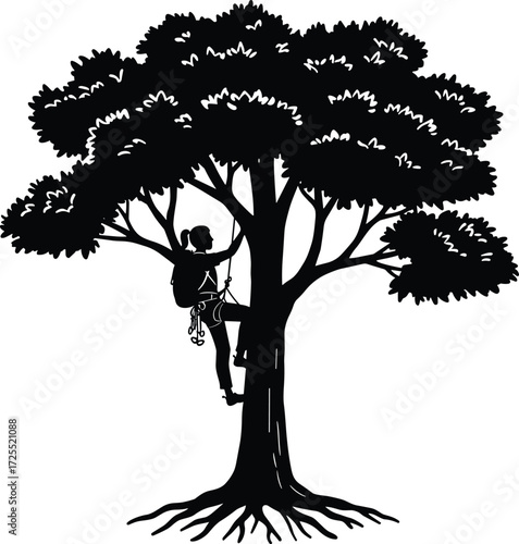 Arborist climbing tree, worker silhouette, tree maintenance, forestry safety, rope climbing, arboriculture, outdoor labor, professional tree care, pruning service, arborist