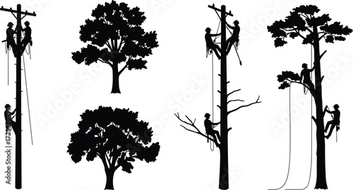 Art & IllustrationTree climbers working at height, arborist climbing trees, linemen on electric poles, safety gear, outdoor job, tree maintenance, workers