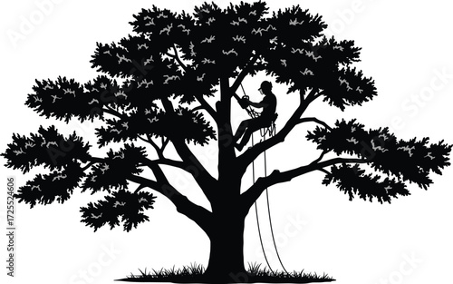Tree climbers working at height, arborist climbing trees, linemen on electric poles, safety gear, outdoor job, tree maintenance, workers