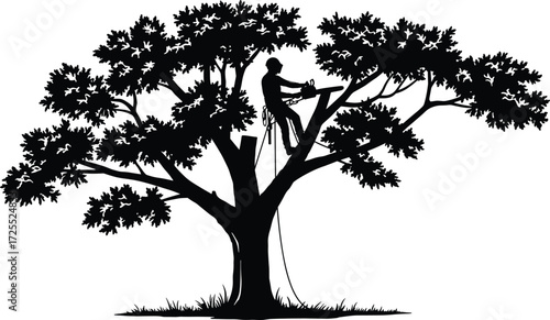 Tree climbers working at height, arborist climbing trees, linemen on electric poles, safety gear, outdoor job, tree maintenance, workers