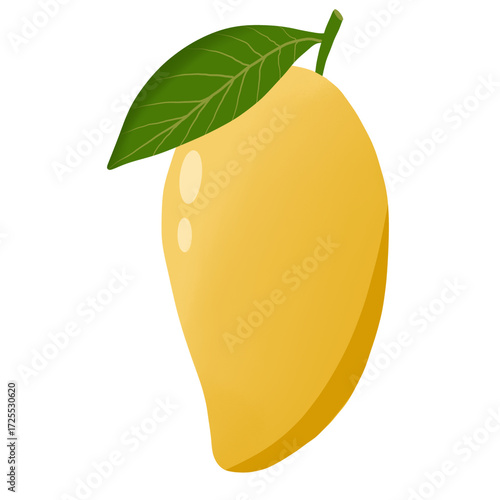 Mango fruit vector isolated