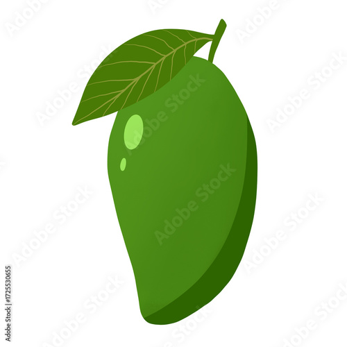 Mango fruit vector isolated