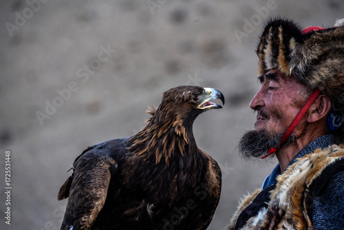 An experienced old golden eagle hunter trains his golden eagle and prepares it for hunting in the Mongolian steppes