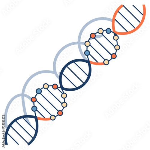 Vector of timeline shaped like a DNA strand.