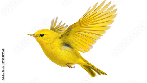 A yellow bird in mid-flight. its beautiful wings against a clean white background. representing freedom and natures beauty. ideal for use in wildlife and nature-related content