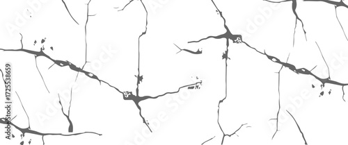 Vector Black and white grunge distress overlay texture dust and rou vector..