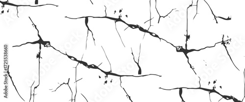 Vector Black and white grunge distress overlay texture dust and rou vector..