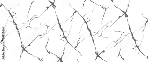 Vector Black and white grunge distress overlay texture dust and rou vector..