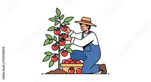Harvesting Ripe Tomatoes: A Cartoon Farmer's Bountiful Crop and the Joy of Garden Fresh Produce Collection, Portraying Rural Cultivation and