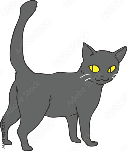 黒猫