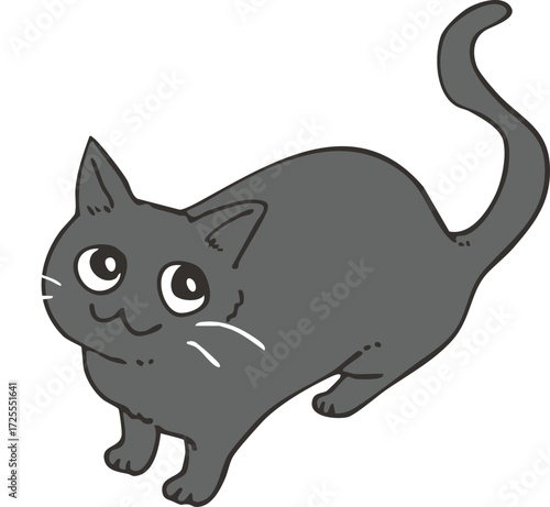 黒猫