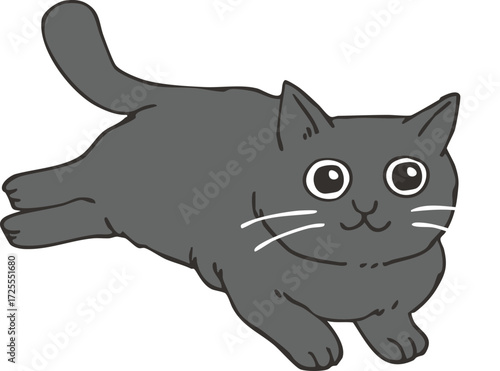 黒猫