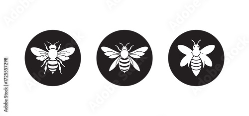 Bee illustration vector graphic honeybee icon bumblebee drawing insect, honeycomb pattern in a black and white graphic, Vector illustration EPS 10.