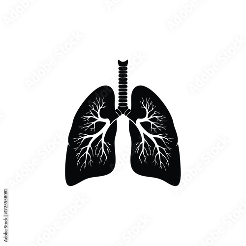 A detailed representation of human lungs showcasing intricate bronchial tree structures in a minimalist style.