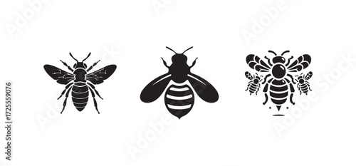 Bee illustration vector graphic honeybee icon bumblebee drawing insect, honeycomb pattern in a black and white graphic, Vector illustration EPS 10.