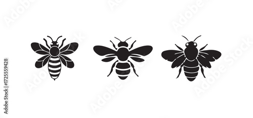 Bee illustration vector graphic honeybee icon bumblebee drawing insect, honeycomb pattern in a black and white graphic, Vector illustration EPS 10.